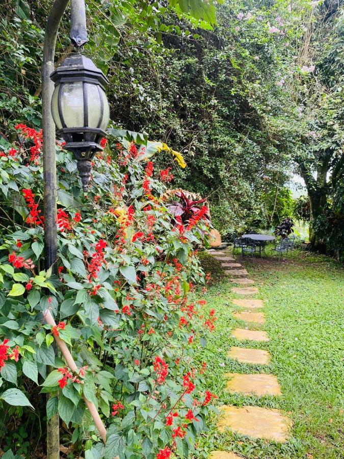 Finca Hotel Los Girasoles Монтенегро Екстериор снимка