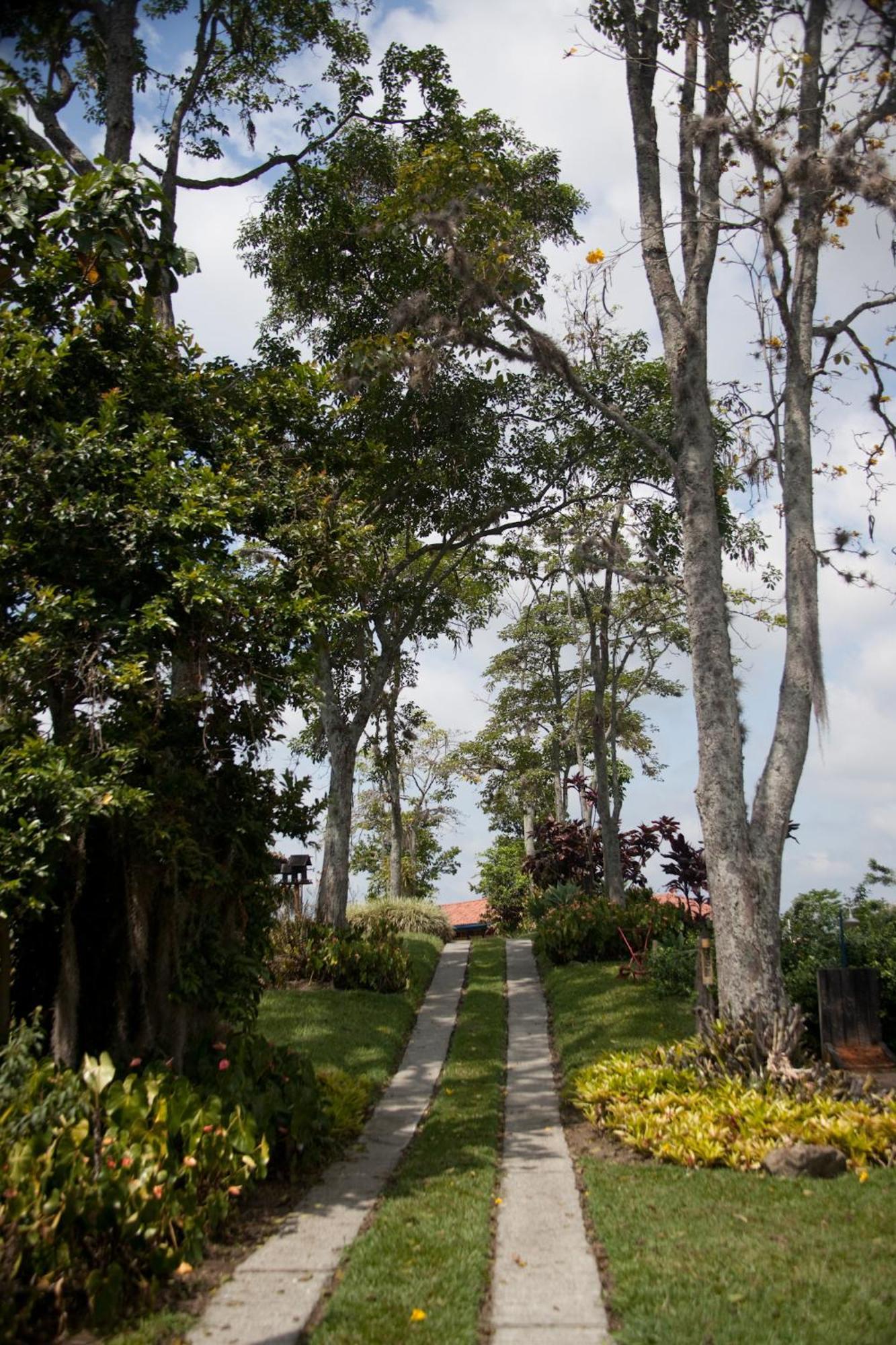 Finca Hotel Los Girasoles Монтенегро Екстериор снимка
